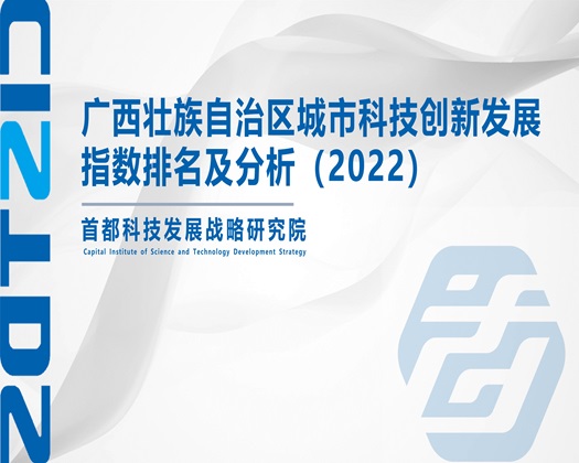 中出人妻中文字幕一区十八【成果发布】广西壮族自治区城市科技创新发展指数排名及分析（2022）